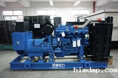 祝贺我公司成功签订罗定市液化石油气站250KW玉柴柴油发电机组