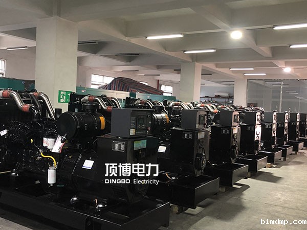 广西彭氏建红达贸易有限公司采购2台600kw上海嘉柴柴油发电机组